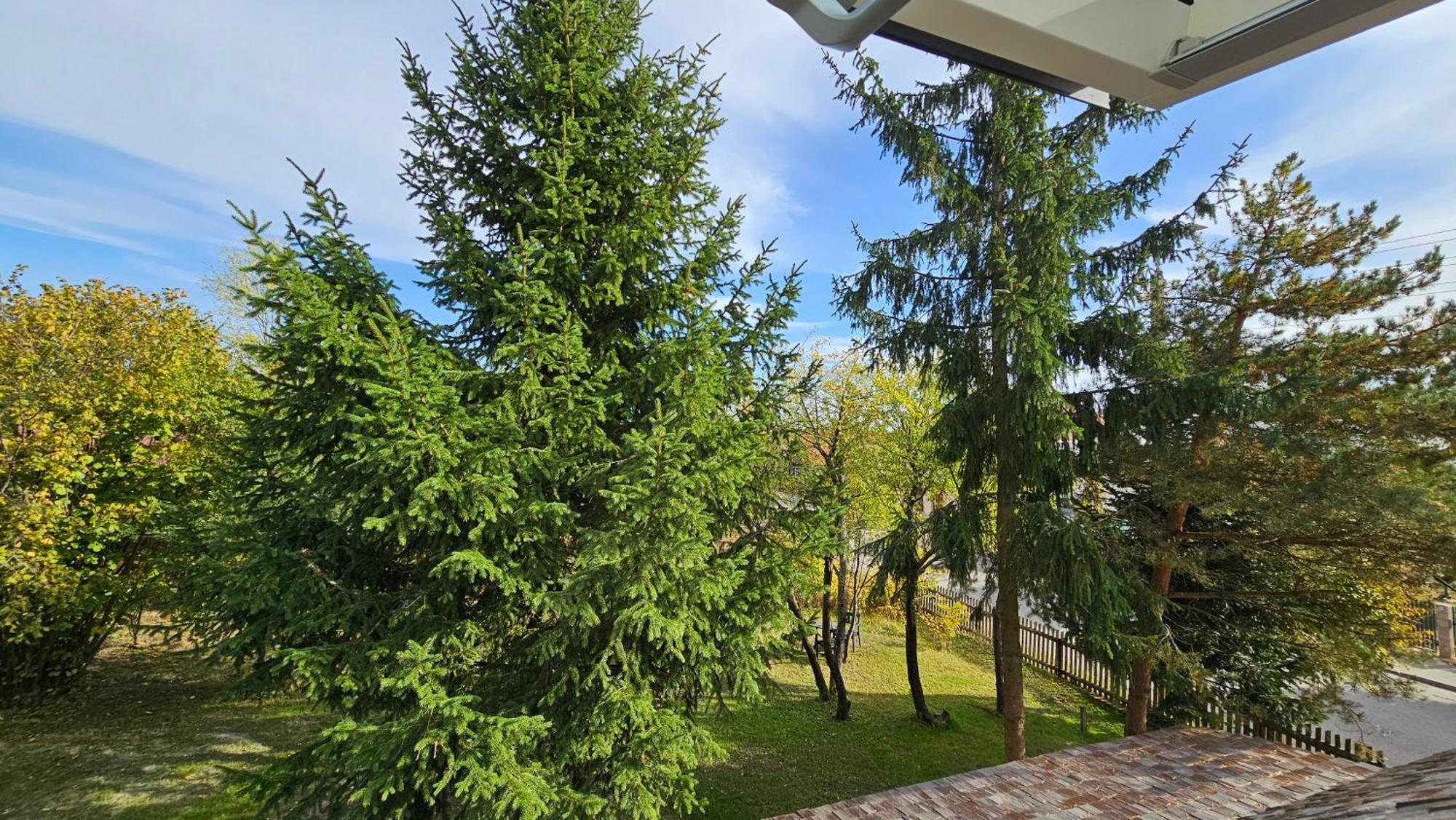 Stoczek 1929 Bed & Breakfast Białowieża Eksteriør bilde